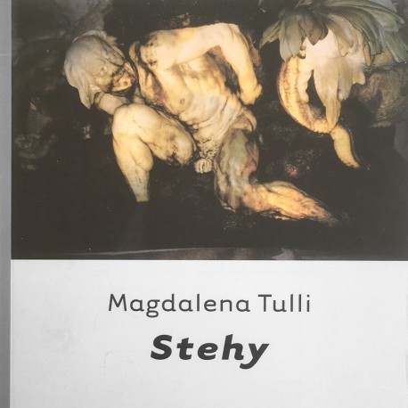 Stehy / Magdalena Tulli
